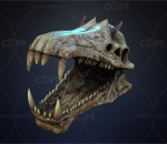Skull 骨头 恐龙头骨！牙齿