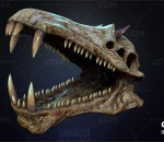 Skull 骨头 恐龙头骨！牙齿