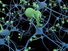 人体神经脉络C4D模型 神经元 脑内神经 静脉 脉络人体内部