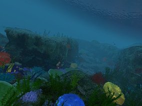 海底世界 海底景观 海底植物 鱼类 带动画 海洋生物 石头