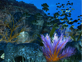 海底场景 海底世界 带鱼等动画 海鱼 深海鱼类