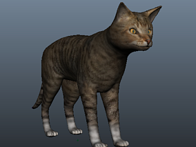 猫cg模型