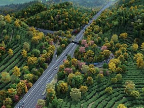 茶山茶园高速公路立交桥3D场景模型