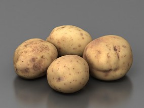 写实马铃薯 土豆 茄科 植物 食物 蔬菜 洋芋 3d模型