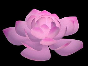 莲花 花朵 3d模型