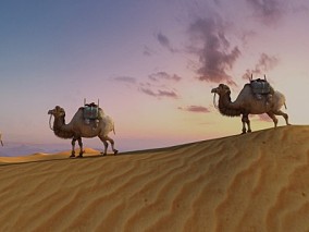 骆驼商队 沙漠 3d模型