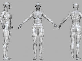 写实女人体 基础模型 美女基础身体 人体 裸模 3d模型