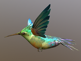 飞翔蜂鸟3D模型