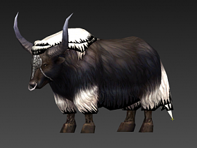 手绘牦牛 动物  3d模型