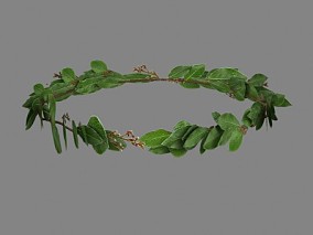 草环，头饰，叶子编织的头环 , 花环 ， 橄榄枝 ， 头戴