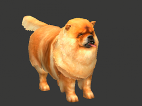 松狮犬 3D模型 狗 大狗 黄狗 全套动作