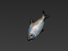 动物世界 3D模型 鱼 带动画