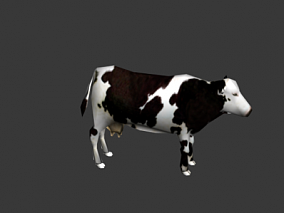 奶牛 牛 母牛 带动画