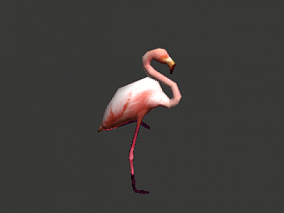 火鸟 3D动物 模型 动物世界 带动画