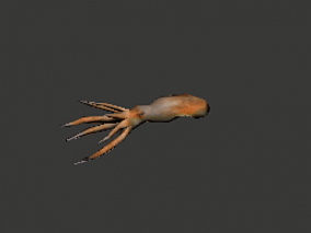 动物世界 3D模型 章鱼 带动画