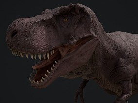 次时代恐龙，霸王龙，3D模型