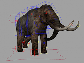maya绑定野象模型带权重控制器 大象 非洲象