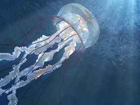 blender模型 水母 海底生物