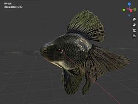 blender模型 金鱼 带绑定 动画