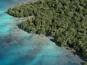 岛屿 海岛 小岛 海岸 海 海边 海滩 3d模型