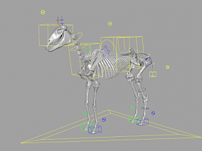 马骨骼骨头骨架模型带绑定控制器 maya绑定骏马骨骼