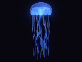海洋生物 水母 水生动物 浮游生物 刺丝胞动物 钵水母纲 十字水母纲 立方水母纲动物
