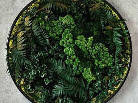 现代圆形苔藓植物墙 VR+CR 3D模型