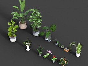 花盆 绿植 盆景 装饰盆栽 写实模型