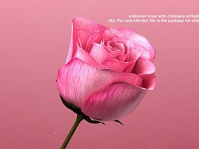 美丽的玫瑰、花朵【有动画】【有绑定】