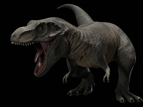配置绑定 动画 霸王龙 恐龙 暴龙 食肉 捕食者 白垩纪 史前 生物 灭绝 侏罗纪