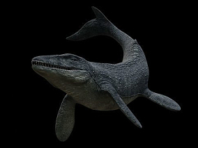 配置绑定 动画 沧龙 海洋 恐龙 食肉 捕食者 白垩纪 史前 生物 灭绝 侏罗纪