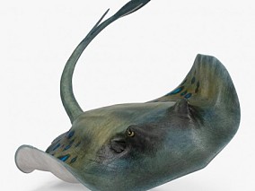 鳐鱼（带绑定） 蝙蝠鱼 魔鬼鱼 海洋动物 蝠鲼 鱼 模型 毯魟 鱼类