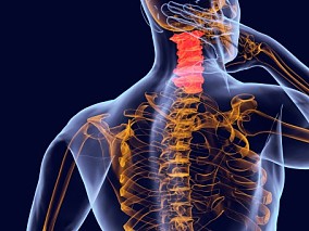 医疗健康 颈椎疼痛 人体C4D背景 人体 器官 医疗解剖 医学动画 血管系统 人体结构