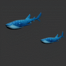 带动画的蓝鲨 写实蓝鲸 鲸鲨 鲨鱼 鲸鱼 WhaleShark