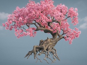 桃花树 落樱树 樱花树模型