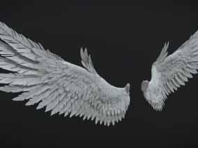 翅膀    3d 可打印的翅膀   写实翅膀     3d打印翅膀