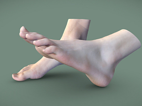 脚 男人脚 扫描脚 人体组织