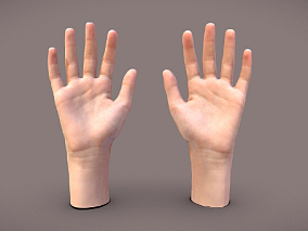 手  一对13岁女手  扫描手  写实手  人体结构