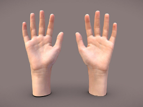 手  一对13岁女手  扫描手  写实手  人体结构