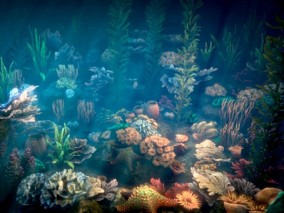 深海世界 海底 珊瑚群 海藻 珊瑚礁 海星 巨牡 UE4/UE5