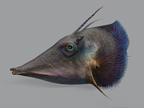 外星鱼 海洋鱼类 外星生物 PBR材质 次世代 幻想鱼类 飞鱼 大头鱼 幻想生物