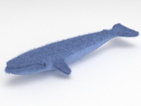蓝色毛茸茸鲸鱼 海洋鲸类毛绒玩具