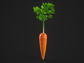 写实胡萝卜 素菜 蔬菜 青菜 食物 红萝卜