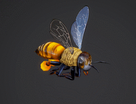 PBR 蜜蜂 熊蜂 老牛蜂 黄蜂 胡蜂 无脊椎动物 昆虫 雄峰 动物 虫类 蜜蜂 带动画