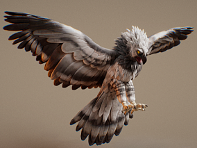 金雕 紫影雕 飞禽 鸟 3D模型 多种文件格式 翅膀 动物