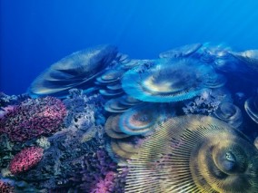 UE5 海底世界 珊瑚礁 海洋生物 深海场景