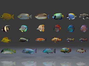 36种鱼类合集（每种鱼有5套动画，有绑定）