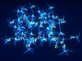 神经元细胞 神经网络 神经系统 神经元模型 神经细胞 神经末梢 神经突触