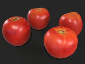 写实西红柿 番茄 圣女果 西红柿 蔬菜 植物 茄科 水果 PBR次世代