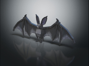 低模蝙蝠 蝙蝠 卡通蝙蝠 动画蝙蝠